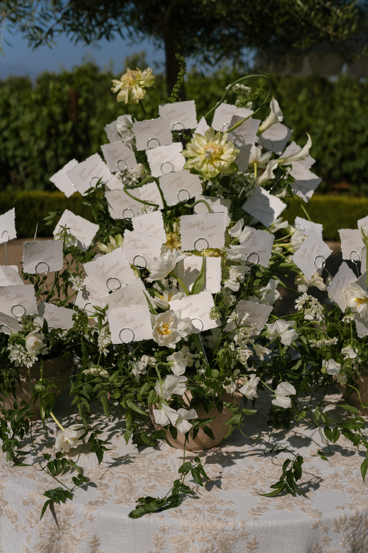 Seating chart beneath jacaranda